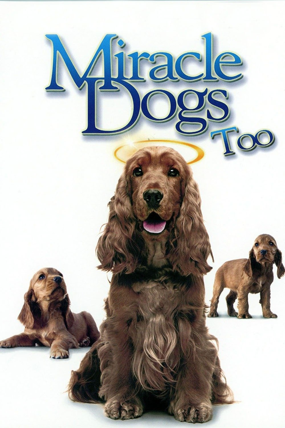 Постер Miracle Dogs Too
